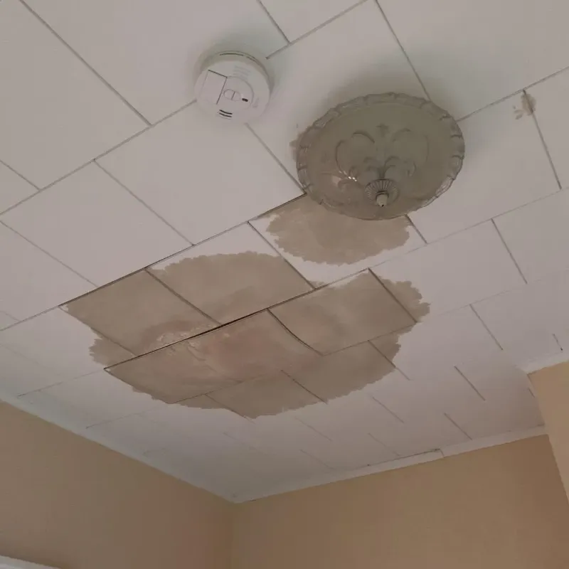 Ceiling Water Damage Repair in South Bend, IN