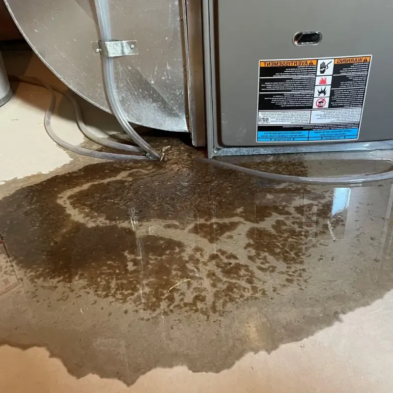 Pipe Burst and Leak Restoration in South Bend, IN